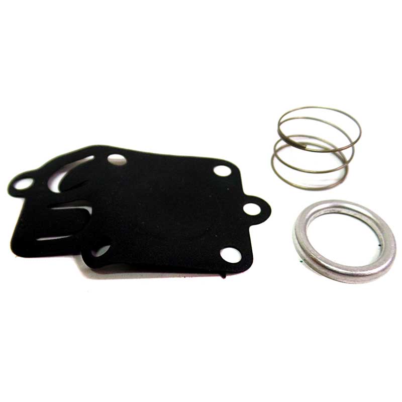 Briggs & Stratton 5021D/ 270026 Diaphragm KitBriggs & StrattonOMB